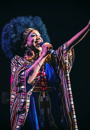 presentación de La 41ª edición de Veranos de la Villa llega a su fin con un homenaje a Celia Cruz