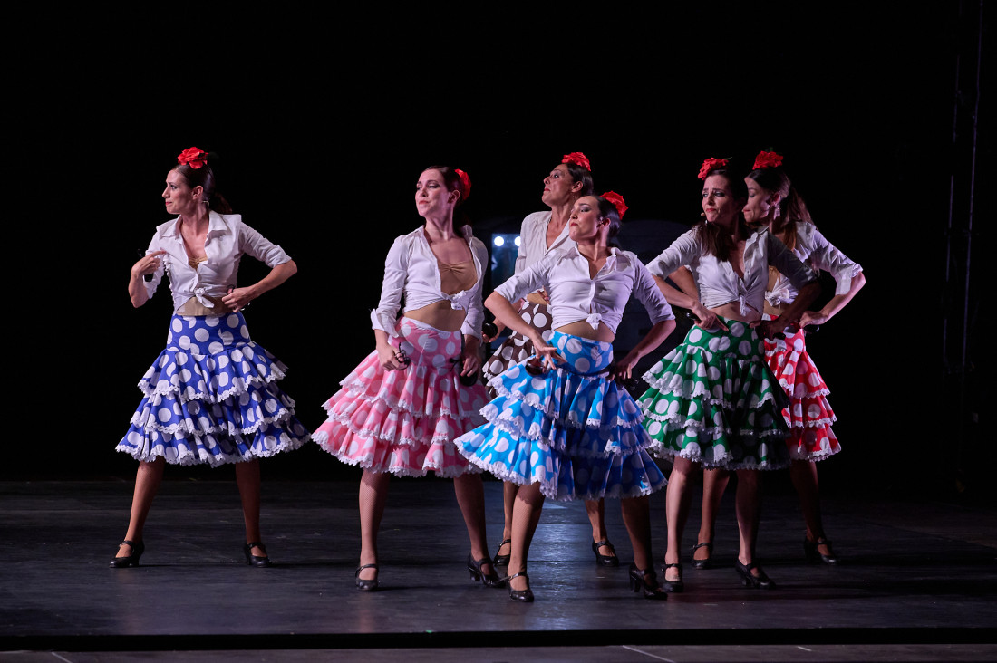 Zarzuela en Danza